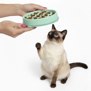 NWT Outward Hound Slo Bowl Pink SMALL Slow Feeder Anti Vomit Cat Kitten